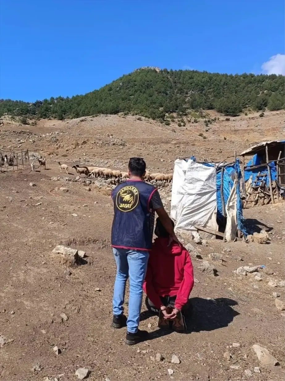 11 Yıl Hapis Cezası Olan Firari Hükümlü Ormanlık Alanda Yakalandı