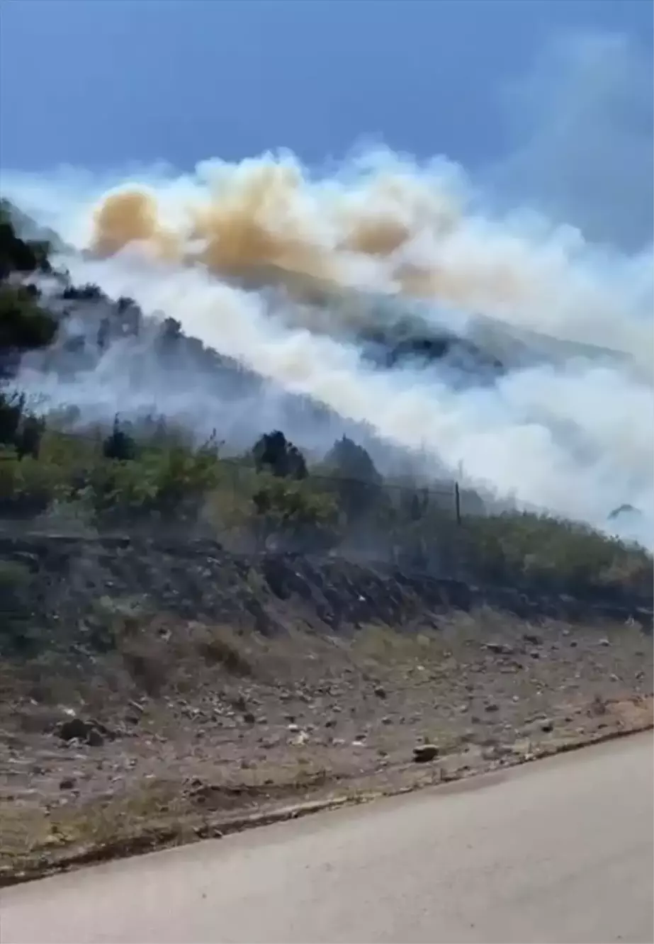 Tokat'ın Turhal ilçesinde orman yangını söndürüldü