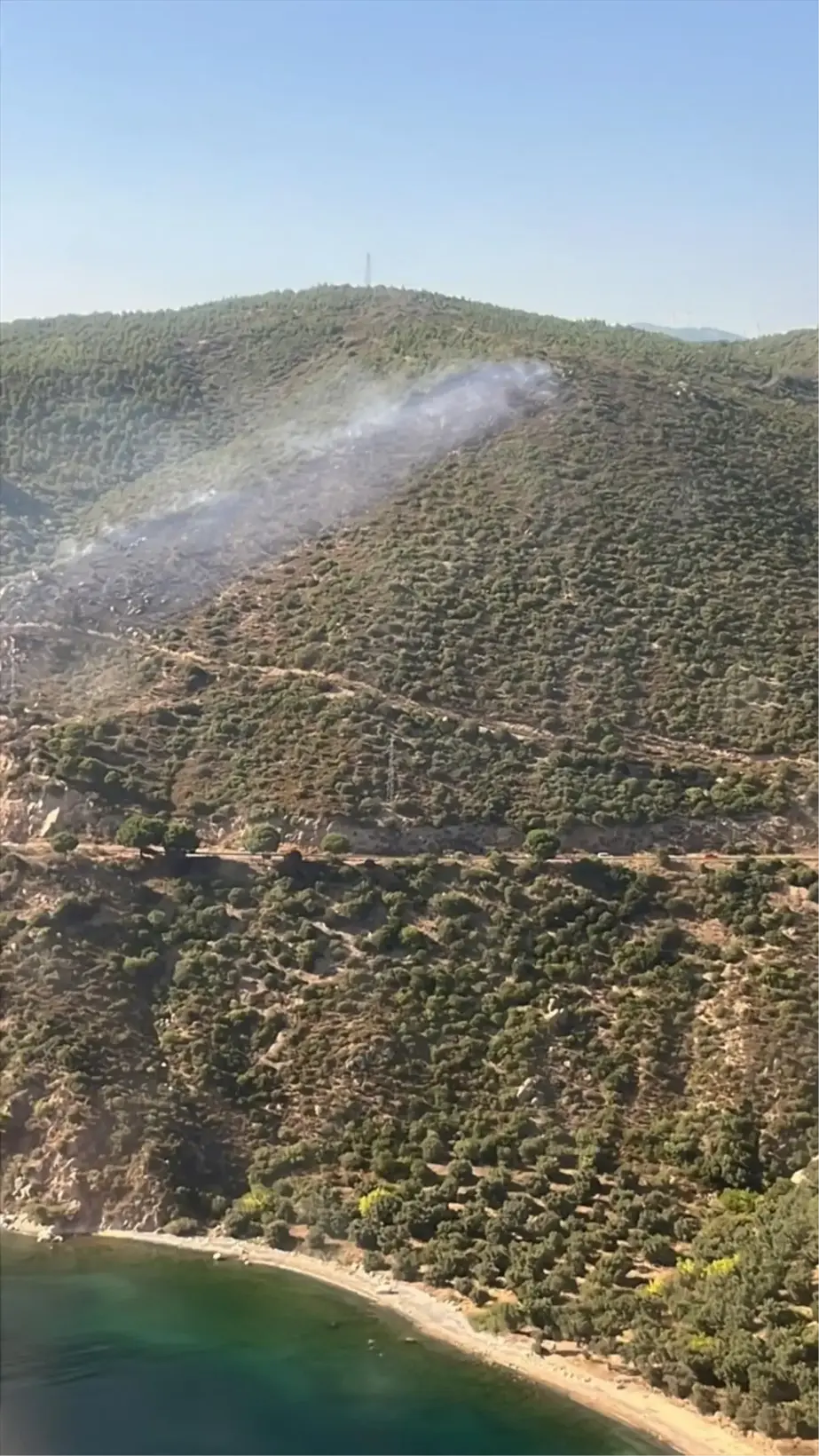 Yalova'da çıkan yangınlar kontrol altına alındı