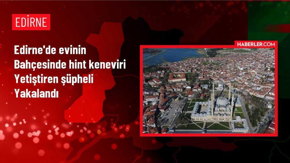 Edirne'de Ev Bahçesinde Hint Keneviri Yetiştiren Şüpheli Gözaltına Alındı