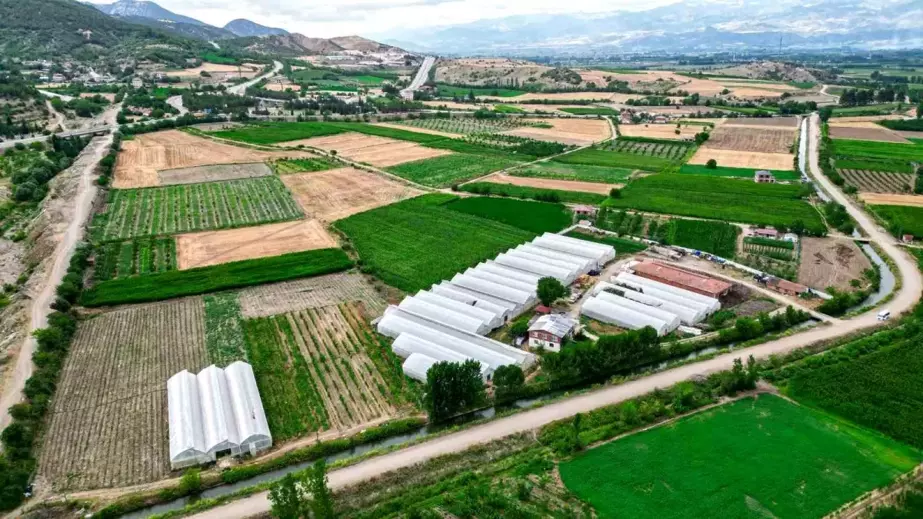 Tokat'ta Öğretmenlikten Çiftçiliğe Geçen Kişi, Yanında 10 İşçi Çalıştırıyor