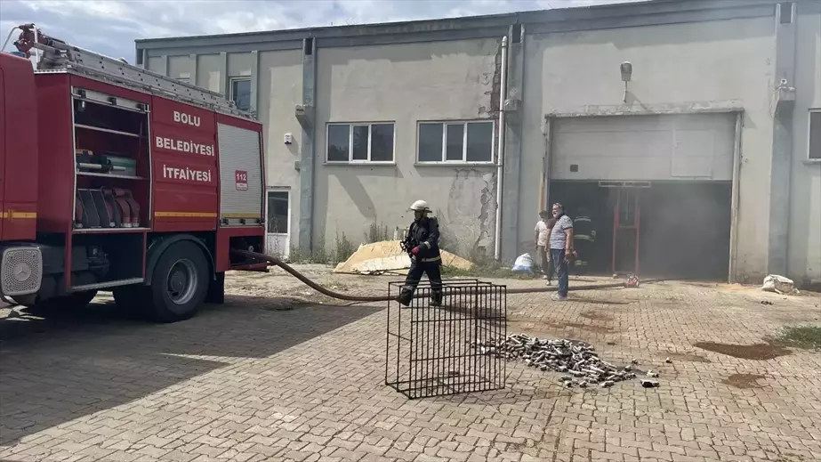 Bolu'da Mangal Kömürü Üretim Tesisi Yangını Söndürüldü