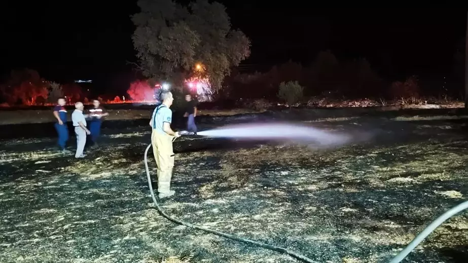 Ödemiş'te çıkan yangın zeytin bahçesine sıçradı