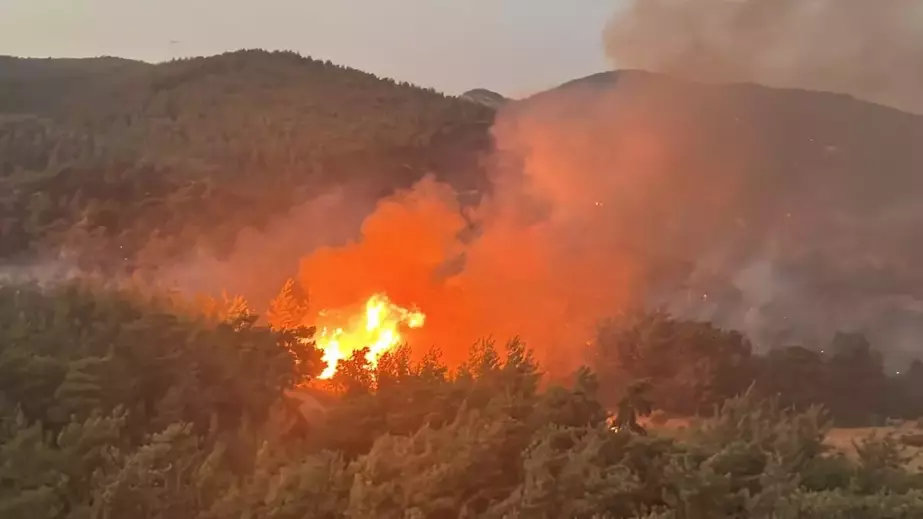 Muğla'da orman yangınına havadan müdahale sona erdi