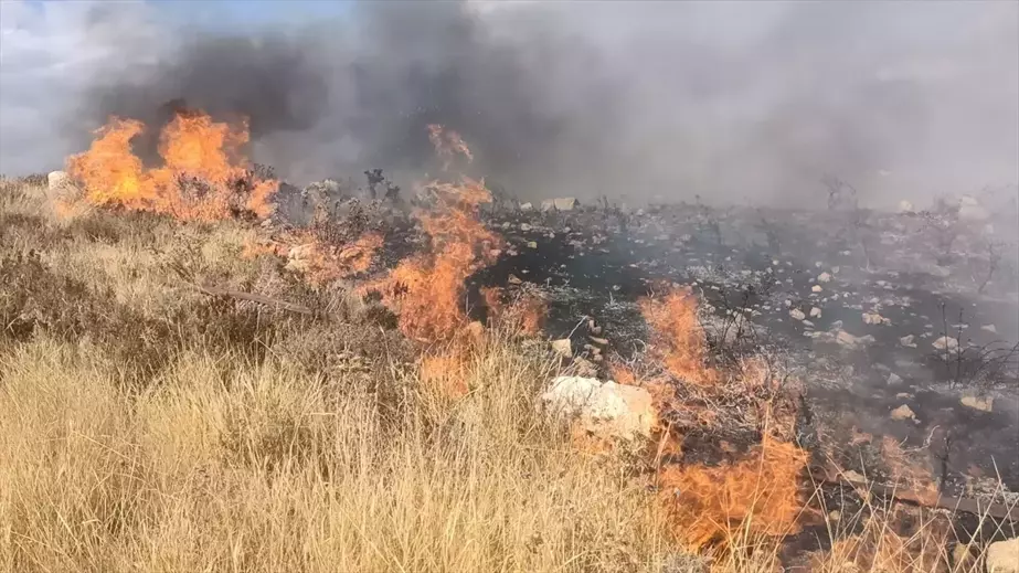 Silifke'de Otluk Alanda Yangın Çıktı