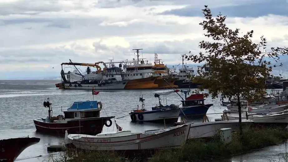 Doğu Karadeniz'deki Fırtına Balıkçılara Zarar Veriyor