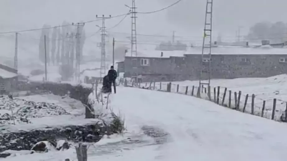 Ardahan'da Kar Yağışı Köylerde Zorluklara Yol Açtı