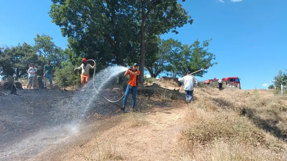 Bingöl'de çıkan örtü yangını ormana sıçramadan söndürüldü