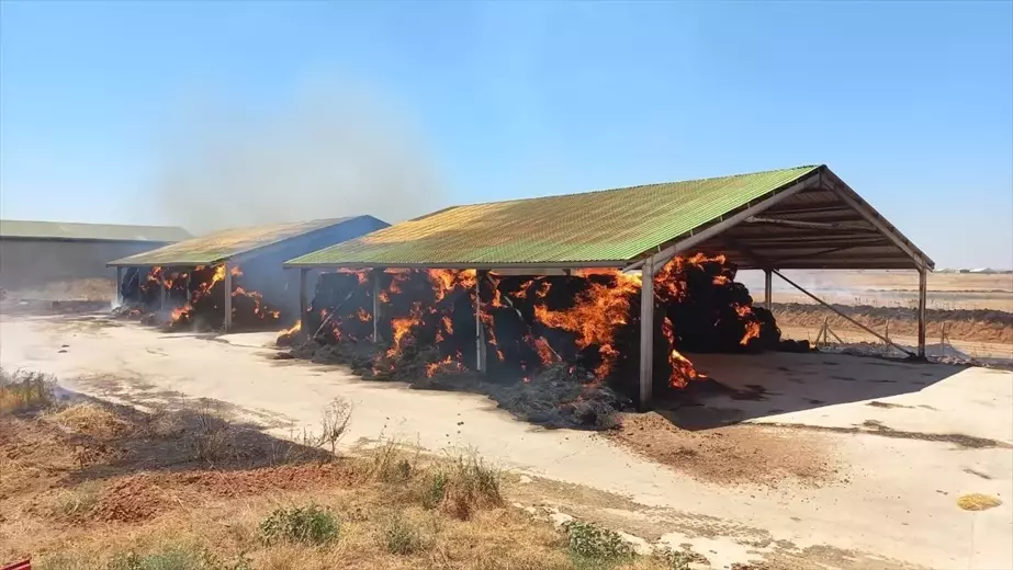 Lüleburgaz'da çiftlikte çıkan yangın söndürüldü