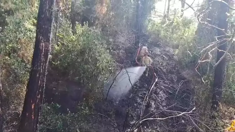 Hatay'ın Dörtyol ilçesinde orman yangını kontrol altına alındı