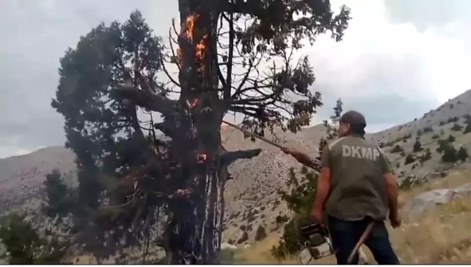 Kahramanmaraş'ta Yıldırım İsabet Eden Ağaçta Yangın Çıktı