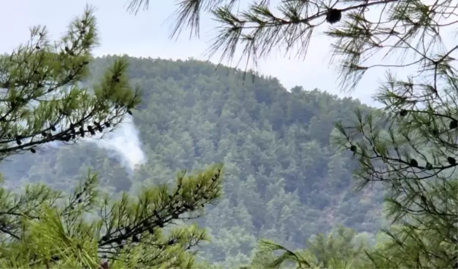 Muğla'da Yıldırım Kaynaklı Orman Yangınları