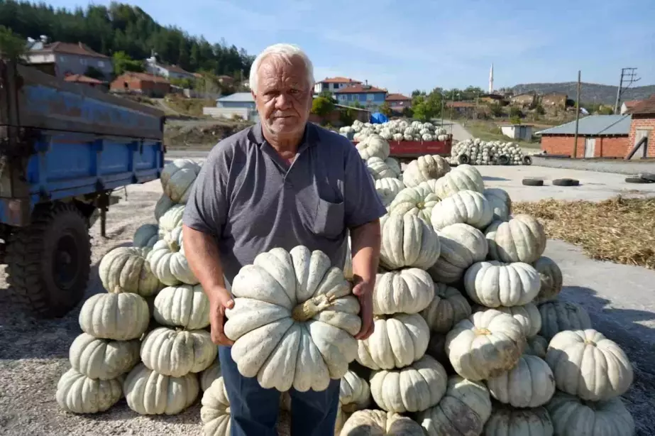 Bilecik'te Kestane Kabağı Üretimi 40 İle Yayılıyor