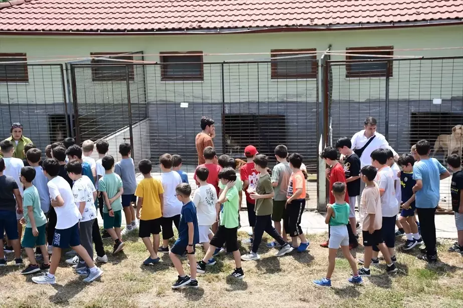 TÜGVA Yaz Okulu Öğrencileri Düzce Belediyesi Sokak Hayvanları Bakımevi'ni Ziyaret Etti