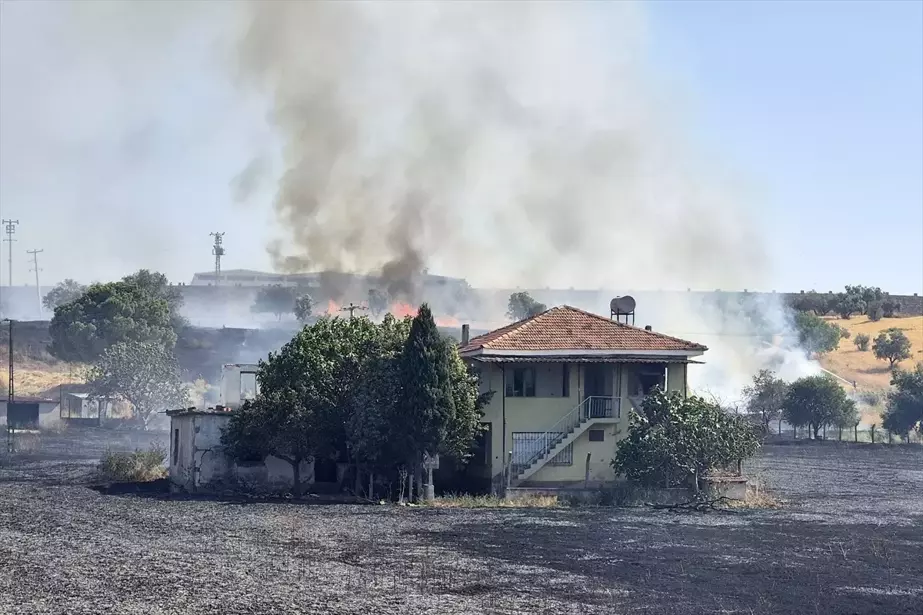 Manisa'da çıkan yangın buğday tarlasına sıçradı