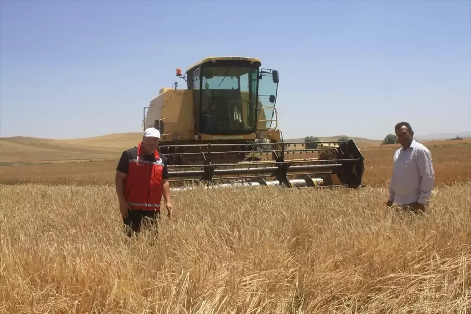 Yozgat'ta yerli tohum arpa çeşitlerinin hasadı yapıldı