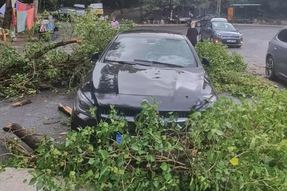 Sarıyer'de Devrilen Ağaç İki Araçta Hasara Yol Açtı