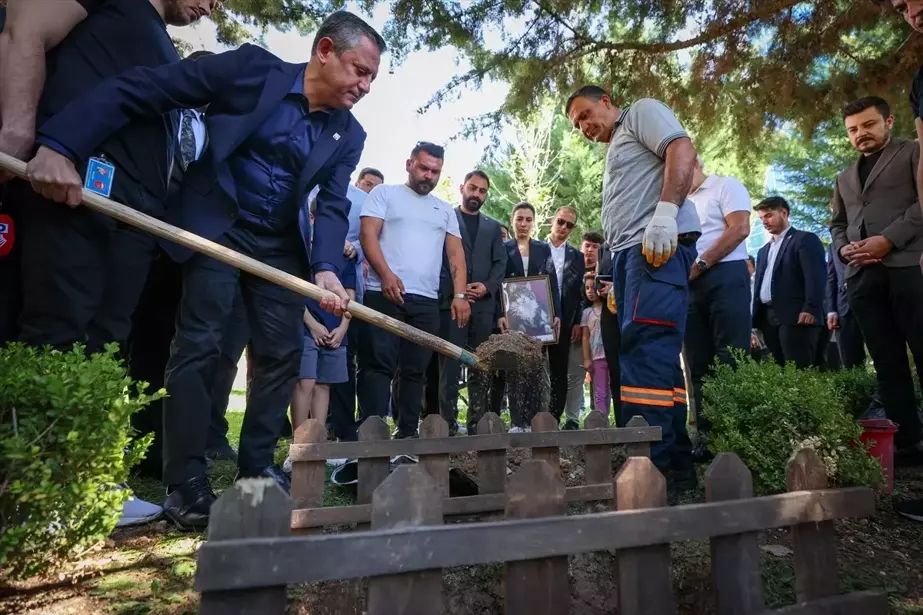 CHP'nin Kedisi Şero, Defin Töreniyle Gömüldü