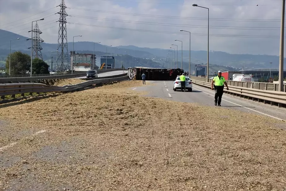 Arı Sokması Sonucu Tır Kazası: Şoför Yaralandı