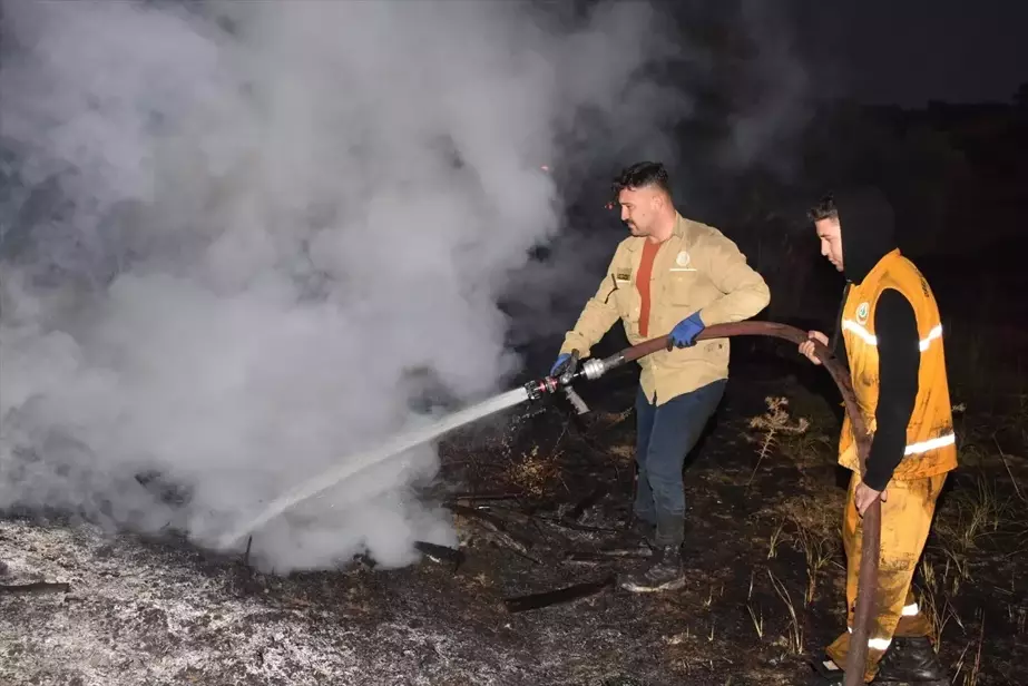 Aydın'da Ormanlık ve Zeytinlik Alanda Yangın Kontrol Altına Alındı