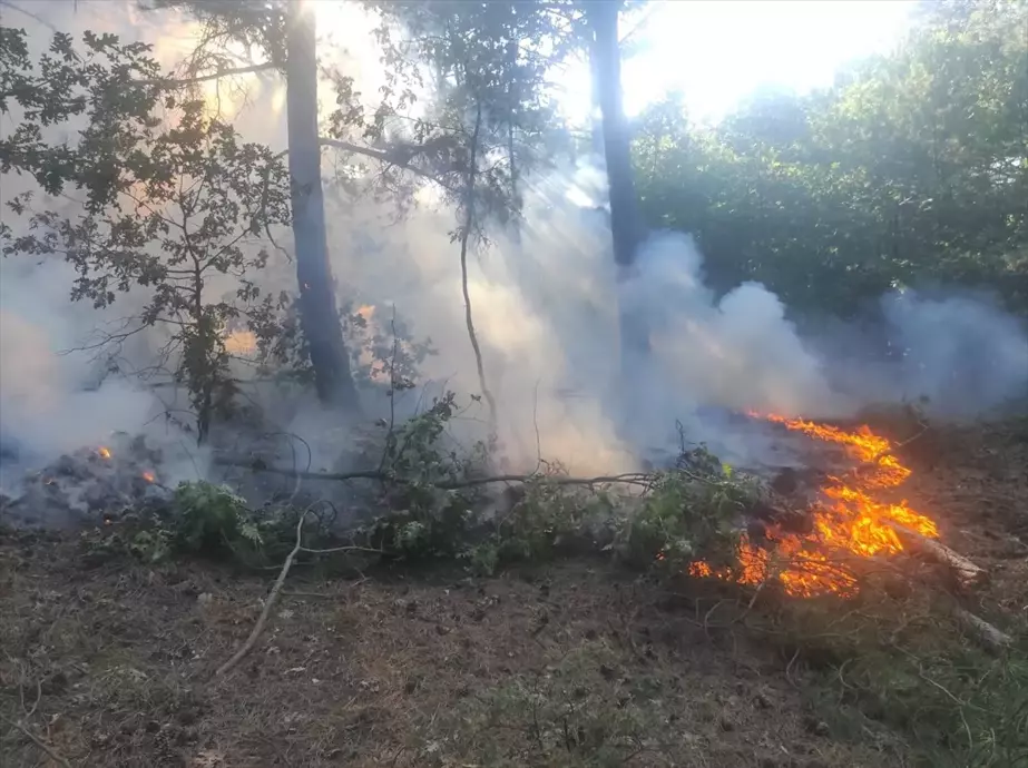 Balıkesir Havran'da Orman Yangını