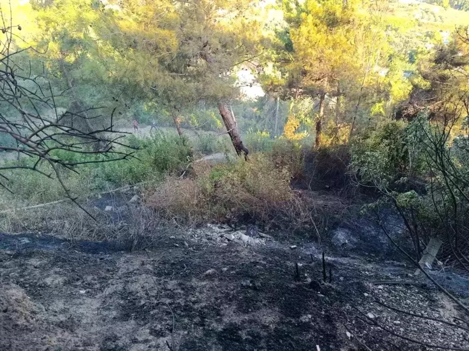 Hatay'da otluk alanda çıkan yangında traktör zarar gördü