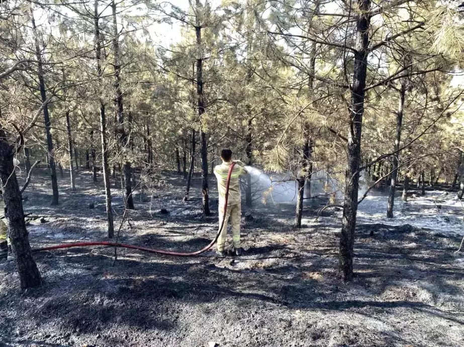 Kastamonu'da çıkan orman yangını kontrol altına alındı