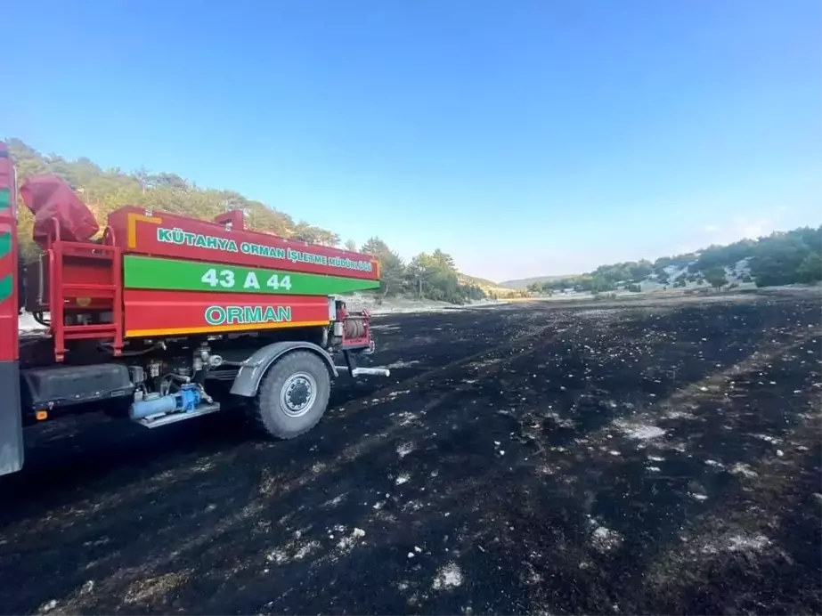 Kütahya'da Tarla Sahibinin Hassasiyeti Orman Yangınını Önledi