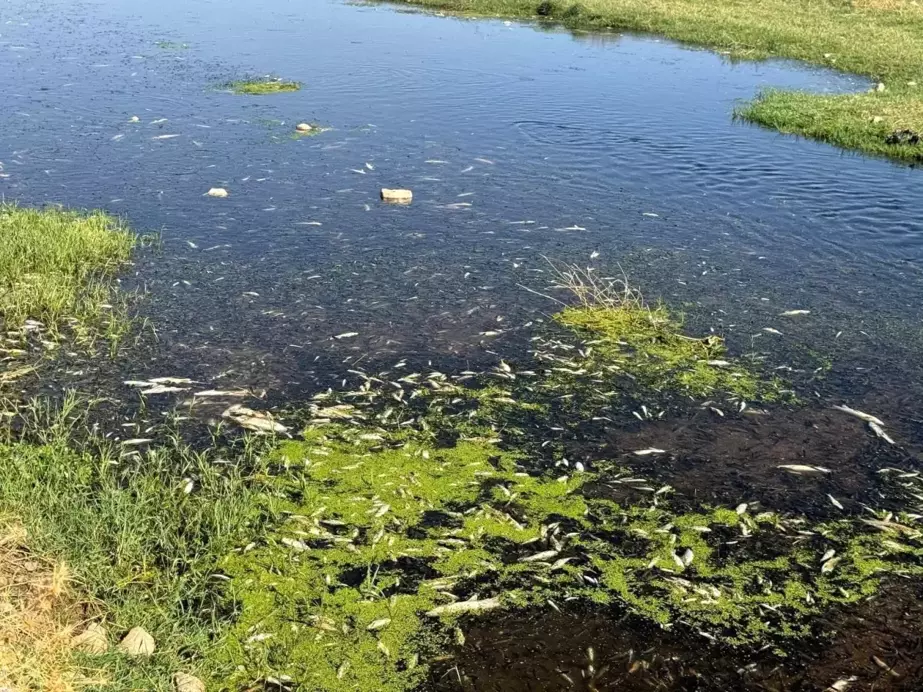 Gaziantep'te Karasu Deresi'ne atık bırakan tesise ceza