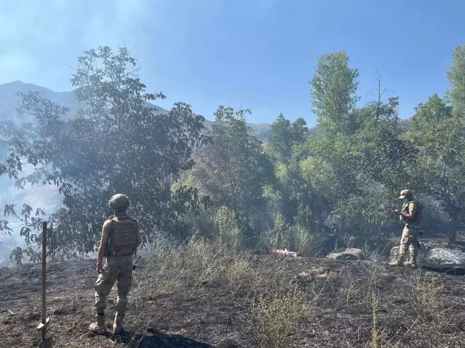 Tunceli'de çıkan örtü yangını kontrol altına alındı