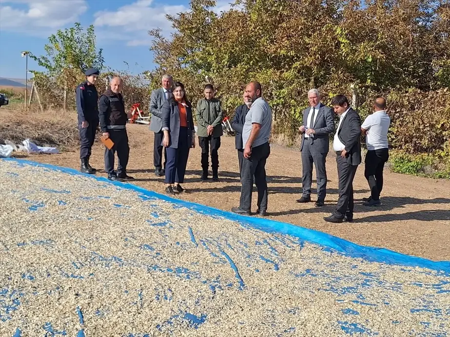 Bahşılı Kaymakamı Fidan Bozkır, Kabak Çekirdeği Hasadına Katıldı