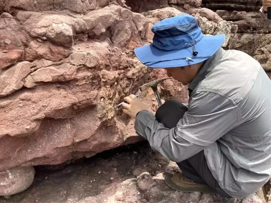 Hong Kong'da İlk Dinozor Fosilleri Keşfedildi