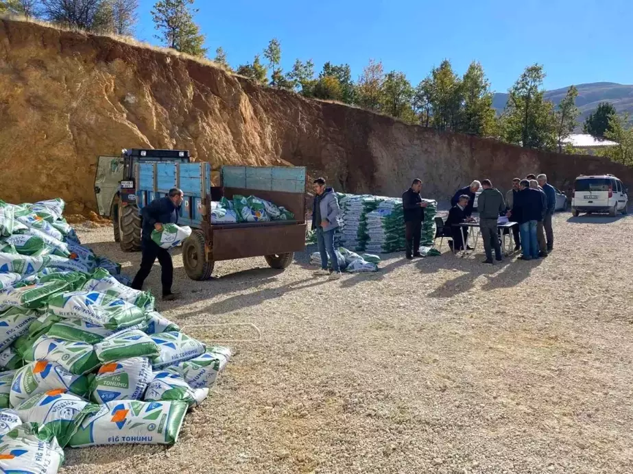 Çelikhan'da Çiftçilere Fiğ Tohumu Dağıtımı Yapıldı