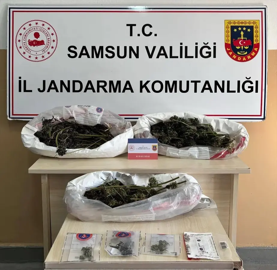 Samsun'da Uyuşturucu Operasyonu: 627 Gram Esrar Ele Geçirildi